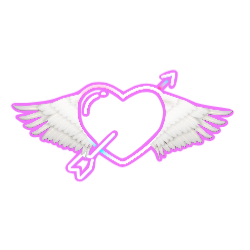 Cupid's Adult Toys
